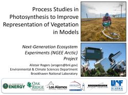 Process Studies in Photosynthesis to Improve Representation of
