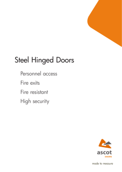 Steel Hinged Doors