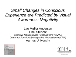 Small Changes in Conscious Experience are Predicted by Visual