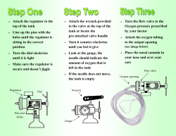 oxygen brochure.pub