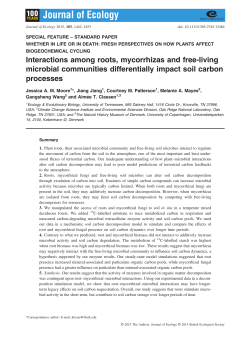 Interactions among roots, mycorrhizas and free‐living microbial