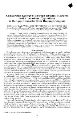 Comparative Ecology of Notropis albeolus, N. ardens and N. cerasinus