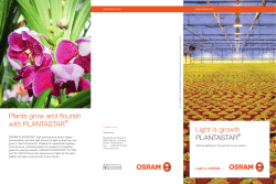 Light is growth PLANTASTAR Plants grow and flourish with