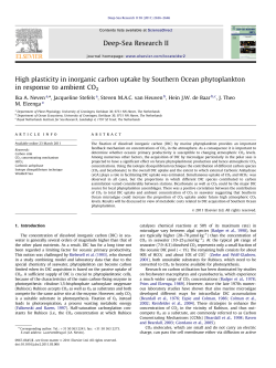 High plasticity in inorganic carbon uptake by Southern Ocean