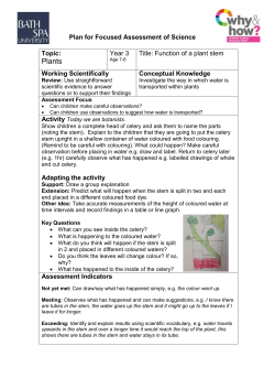 Planning Sheet for focused science Assessment Task