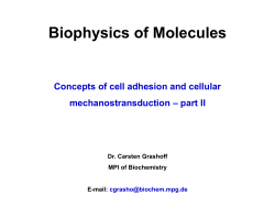 Biophysics of Molecules
