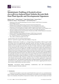 Metabolomic Profiling of Bradyrhizobium diazoefficiens