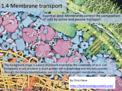 Facilitated Diffusion - Peoria Public Schools