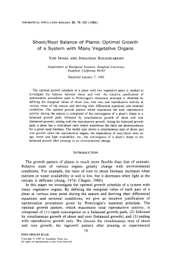 Shoot/root balance of plants: optimal growth of a system with many