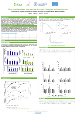 Screening the responses of tomato rootstocks to drought and salinity