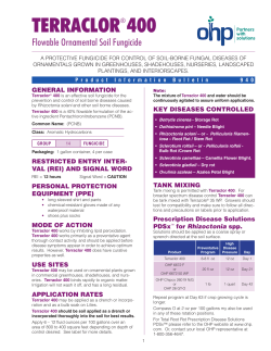 terraclor&reg; 400
