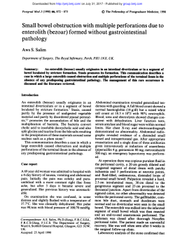 enterolith (bezoar)formed without