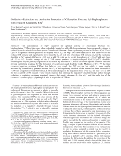 Oxidation-Reduction and Activation Properties of