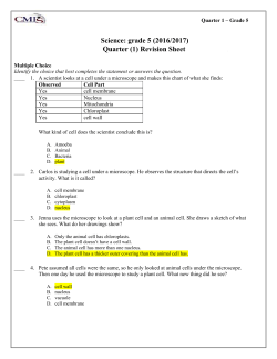 carry oxygen white blood cells