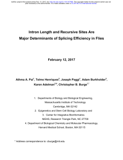 Intron Length and Recursive Sites Are Major Determinants