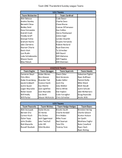 Team ONE Thunderbird Sunday League Teams U11 Teams U12