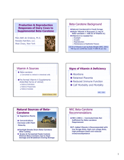 Beta-Carotene Background Vitamin A Sources Natural Sources of