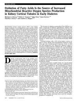 Oxidation of Fatty Acids Is the Source of Increased