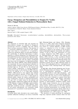 Energy Dissipation and Photoinhibition in Douglas