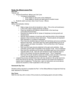Ready Set Mitosis Lesson Plan