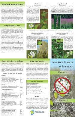 Invasive Plants in Indiana