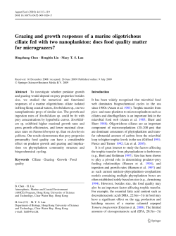 Grazing and growth responses of a marine oligotrichous ciliate fed