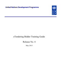 Entering bid factors - The United Nations Volunteers