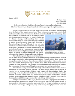 Effects of vitamin B12 on phytoplankton photosynthetic efficiency