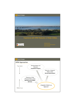 Experience with NRW Reduction of Water Utilities NRW Approaches