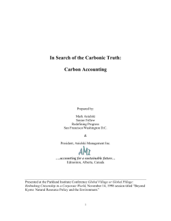 In Search of the Carbonic Truth: Carbon Accounting