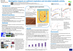 Bioirrigation impacts on sediment respiration and microbial