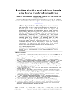 Label-free identification of individual bacteria