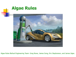Algae Rules - UW Catalyst - University of Washington