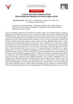 plants and light manipulation: the integrative mineral system in okra
