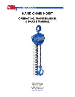 hand chain hoist - ACI Hoist and Crane
