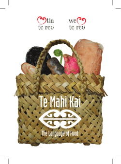 (pdf 3 MB) - Te Taura Whiri i te Reo Māori