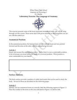 Body Planes and Sections - White Plains Public Schools