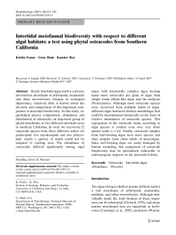 Intertidal meiofaunal biodiversity with respect to different algal habitats