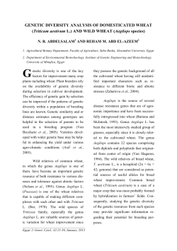 (Triticum aestivum L.) AND WILD WHEAT (Aegilops species)