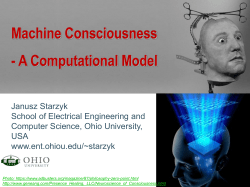 Machine Consciousness