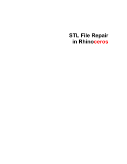 rhino stl repair guide