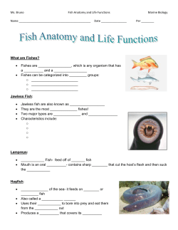Ms. BrunoFish Anatomy and Life FunctionsMarine Biology Name