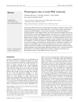 Physiological roles of small RNA molecules