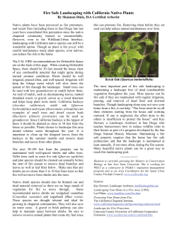 Landscaping with California Native Plants for Fire Safety by