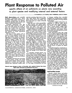 Plant Response to Polluted Air