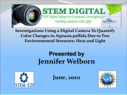 Color Changes in Aiptasia pallida Due to Stressors