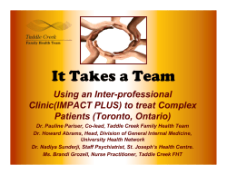 IT Takes a Team - Health Council Canada