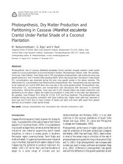 Photosynthesis, Dry Matter Production and Partitioning in Cassava