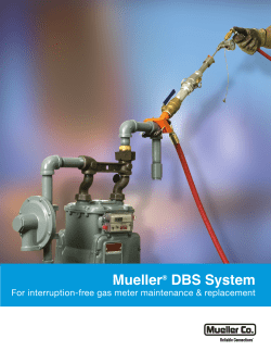 Mueller&reg; DBS System