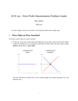 ECN - Firm Pro t-Maximization Problem Guide